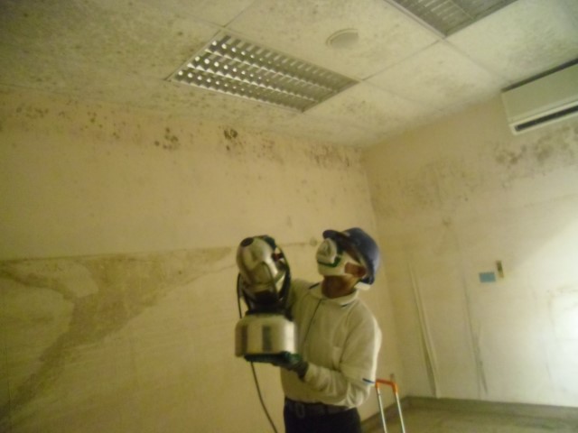 บริการพ่นฆ่าเชื้อโรค บริการพ่นฆ่าเชื้อโรค